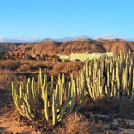 Casa Carla Апартаменты Эль-Пальмар