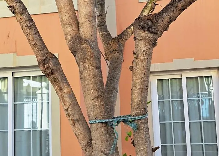 Casa Carla Appartamento Palm-mar