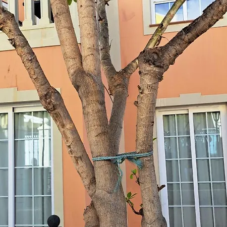 Casa Carla Apartman Palm-mar